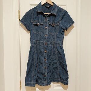 Expess Denim Button-Down Dress